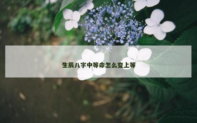 生辰八字中等命怎么变上等