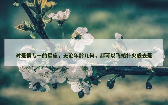 对爱情专一的星座，无论年龄几何，都可以飞蛾扑火般去爱