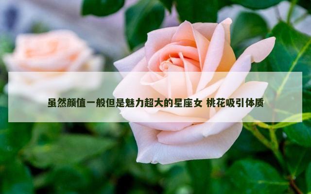 虽然颜值一般但是魅力超大的星座女 桃花吸引体质