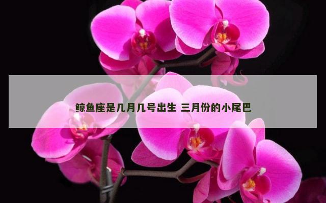 鲸鱼座是几月几号出生 三月份的小尾巴