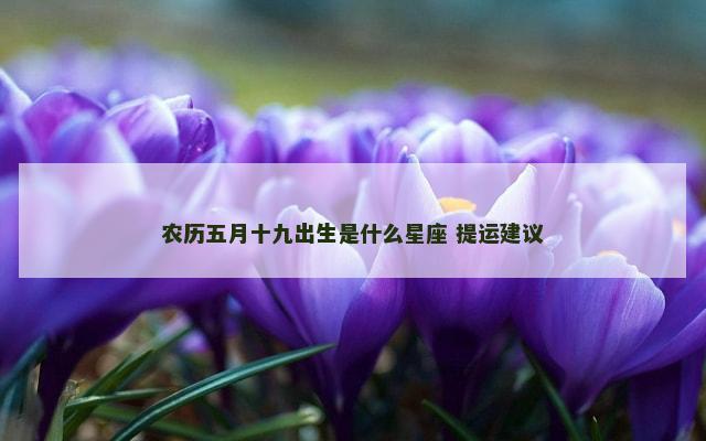 农历五月十九出生是什么星座 提运建议