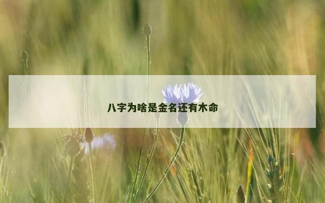 八字为啥是金名还有木命