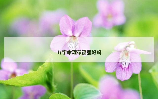 八字命理带孤星好吗