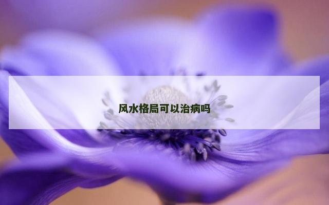 风水格局可以治病吗