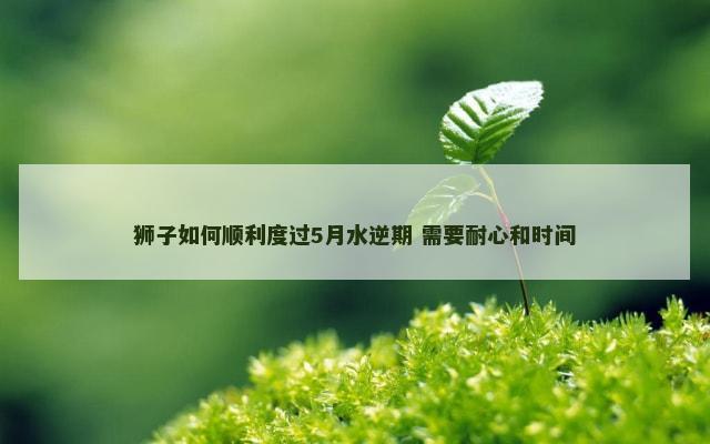 狮子如何顺利度过5月水逆期 需要耐心和时间