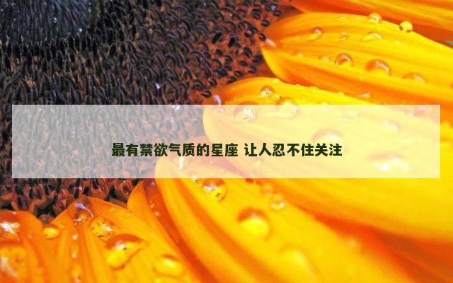 最有禁欲气质的星座 让人忍不住关注