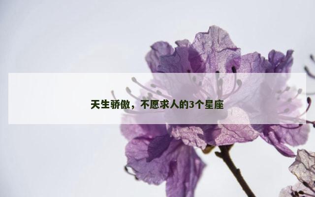 天生骄傲，不愿求人的3个星座