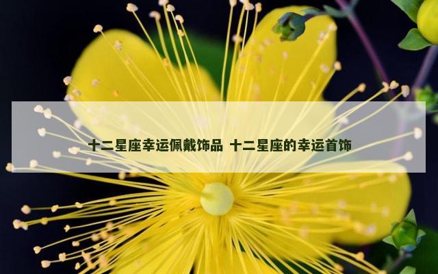 十二星座幸运佩戴饰品 十二星座的幸运首饰