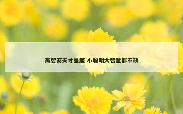 高智商天才星座 小聪明大智慧都不缺