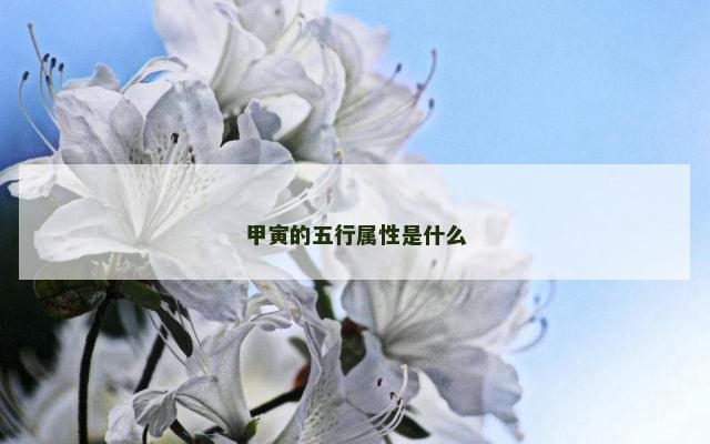 甲寅的五行属性是什么
