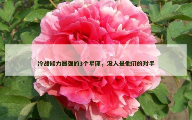 冷战能力最强的3个星座，没人是他们的对手