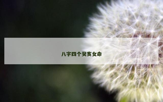 八字四个癸亥女命