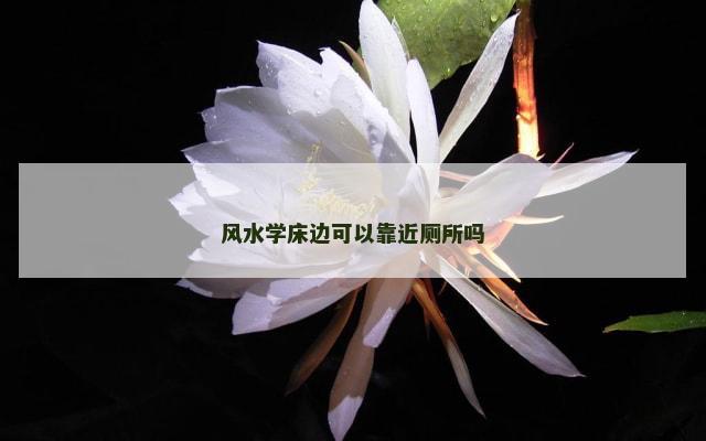风水学床边可以靠近厕所吗