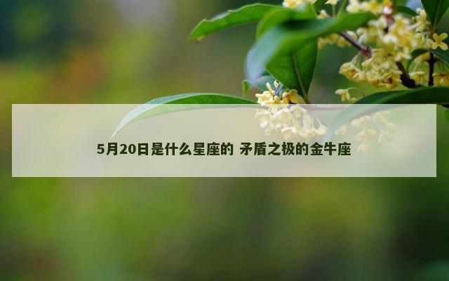 5月20日是什么星座的 矛盾之极的金牛座