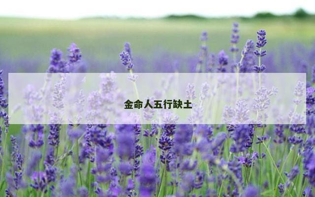 金命人五行缺土