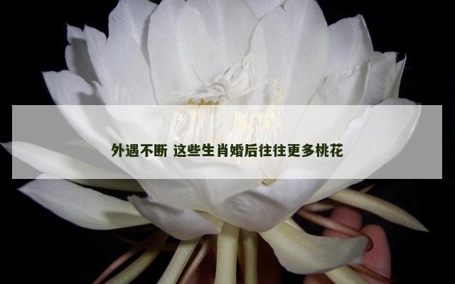外遇不断 这些生肖婚后往往更多桃花