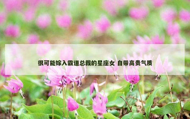 很可能嫁入霸道总裁的星座女 自带高贵气质