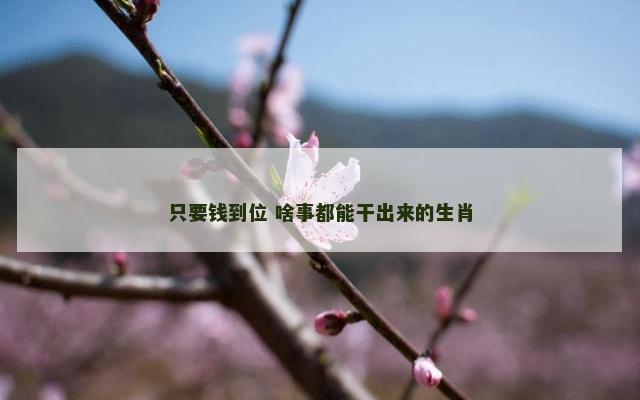 只要钱到位 啥事都能干出来的生肖