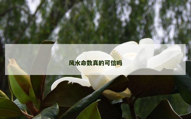 风水命数真的可信吗