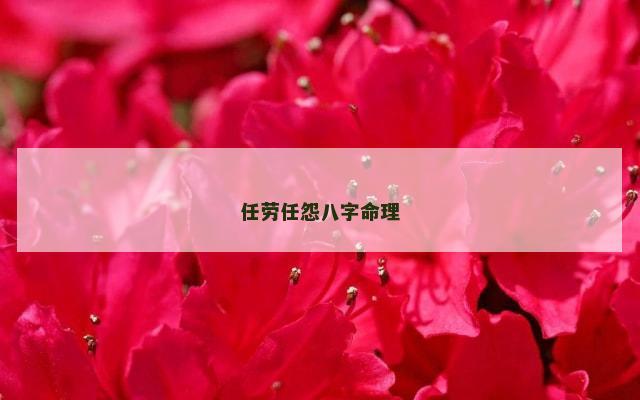 任劳任怨八字命理