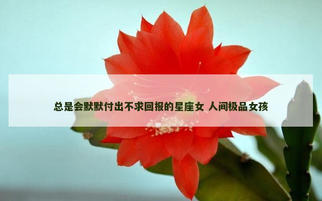 总是会默默付出不求回报的星座女 人间极品女孩