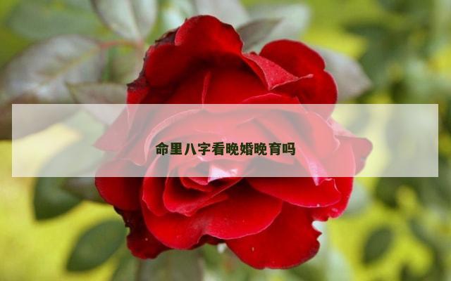 命里八字看晚婚晚育吗
