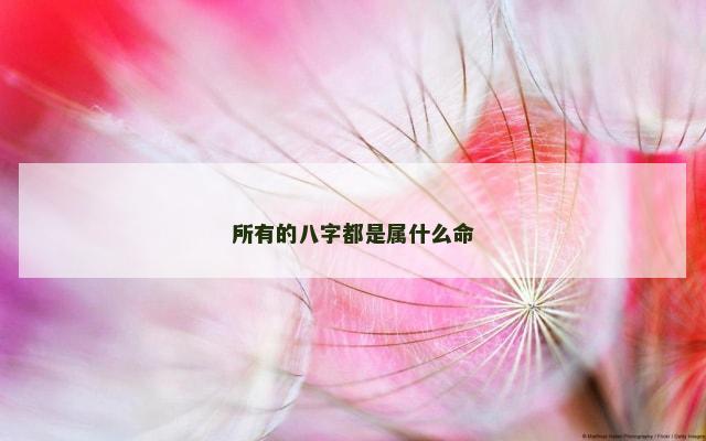 所有的八字都是属什么命
