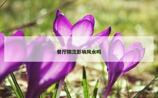 餐厅限流影响风水吗