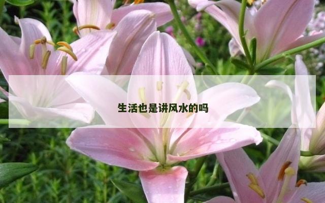 生活也是讲风水的吗