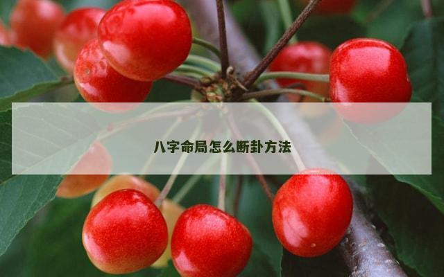 八字命局怎么断卦方法