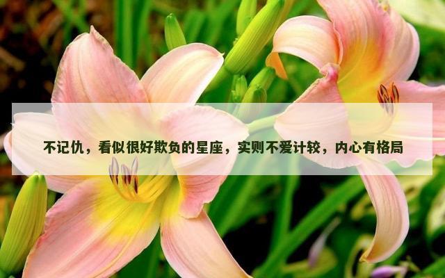 不记仇，看似很好欺负的星座，实则不爱计较，内心有格局