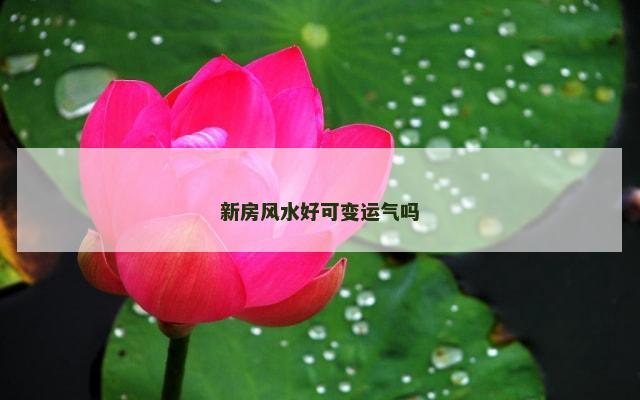 新房风水好可变运气吗