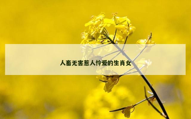 人畜无害惹人怜爱的生肖女