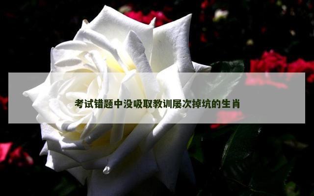 考试错题中没吸取教训屡次掉坑的生肖