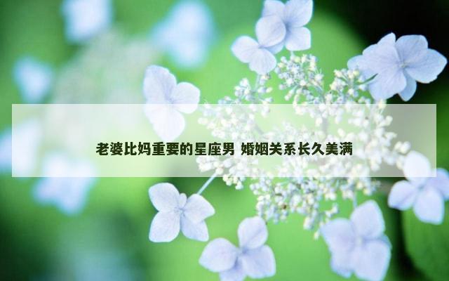 老婆比妈重要的星座男 婚姻关系长久美满