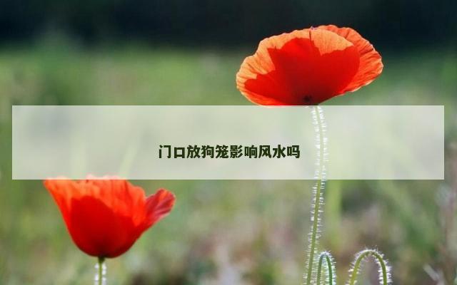 门口放狗笼影响风水吗