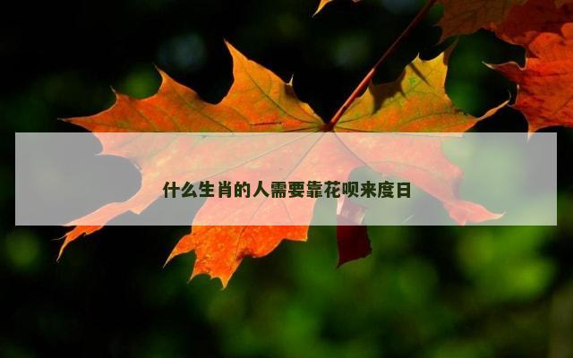 什么生肖的人需要靠花呗来度日