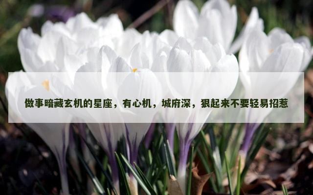 做事暗藏玄机的星座，有心机，城府深，狠起来不要轻易招惹