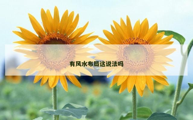 有风水布局这说法吗