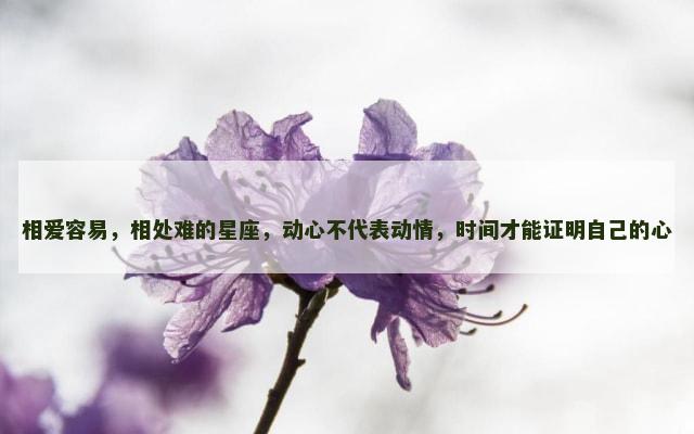 相爱容易，相处难的星座，动心不代表动情，时间才能证明自己的心