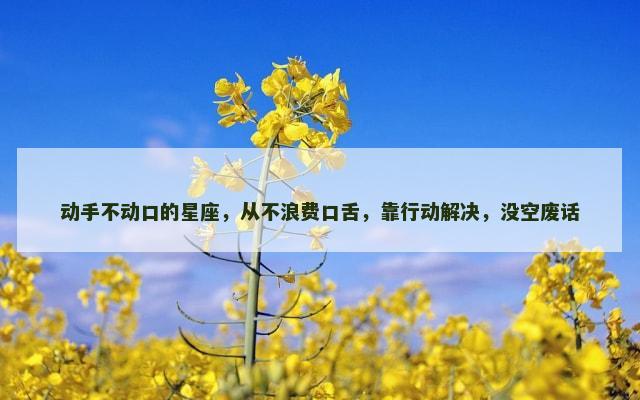动手不动口的星座，从不浪费口舌，靠行动解决，没空废话