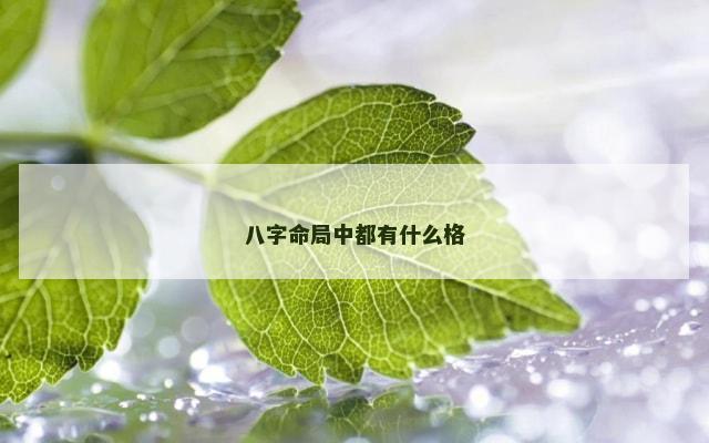 八字命局中都有什么格