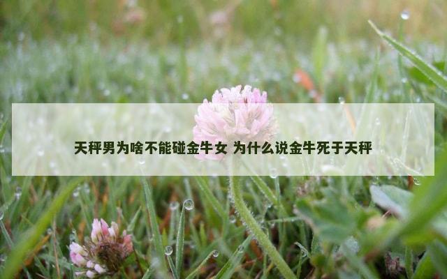 天秤男为啥不能碰金牛女 为什么说金牛死于天秤