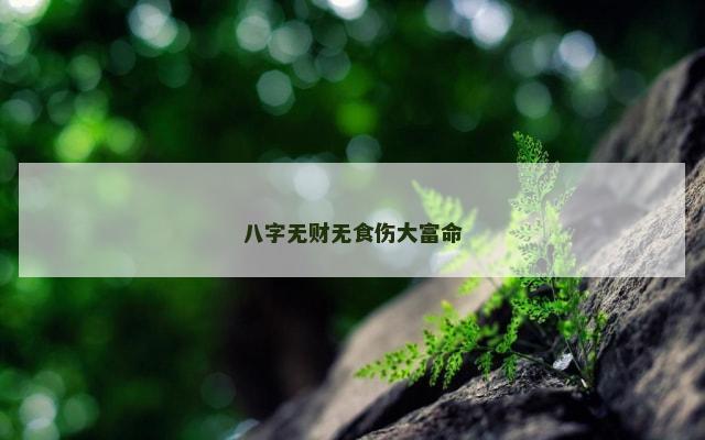 八字无财无食伤大富命