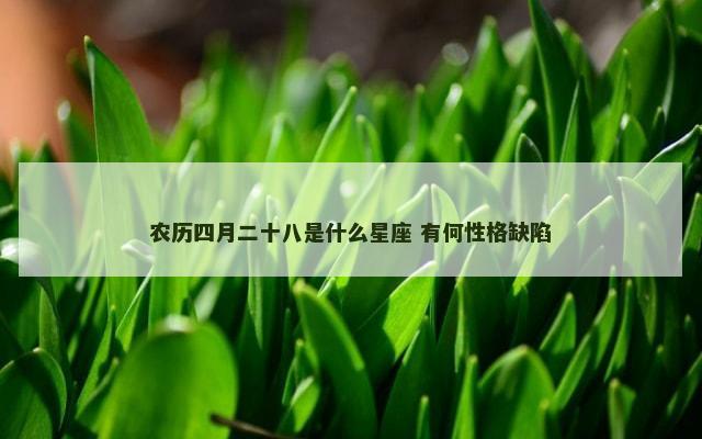农历四月二十八是什么星座 有何性格缺陷