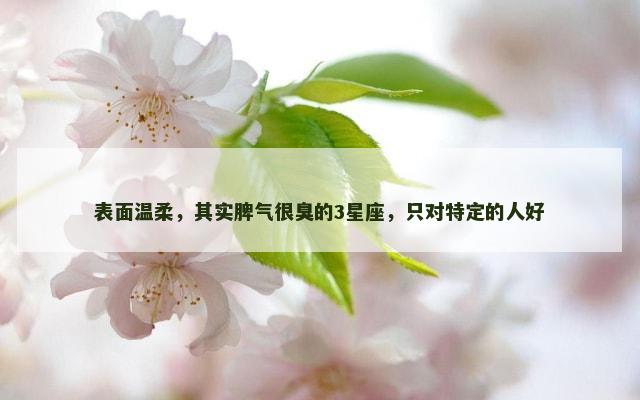 表面温柔，其实脾气很臭的3星座，只对特定的人好
