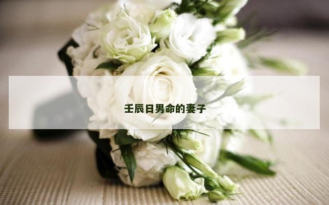 壬辰日男命的妻子