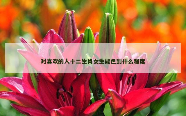 对喜欢的人十二生肖女生能色到什么程度