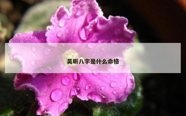 吴昕八字是什么命格