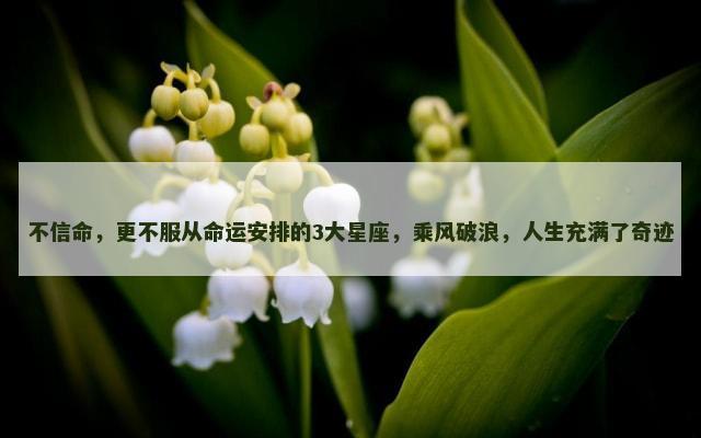 不信命，更不服从命运安排的3大星座，乘风破浪，人生充满了奇迹